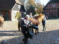 Dateiname=renovierung_033.jpg
Dateigröße=430KB
Abmessungen: 800x600
hinzugefügt am: 04. November 2007 renovierung_033.jpg