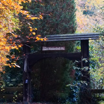 09.11.2018 Rutenmühle im Spätherbst